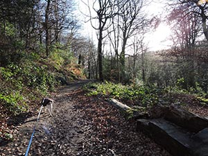 January 2017 Photo 8